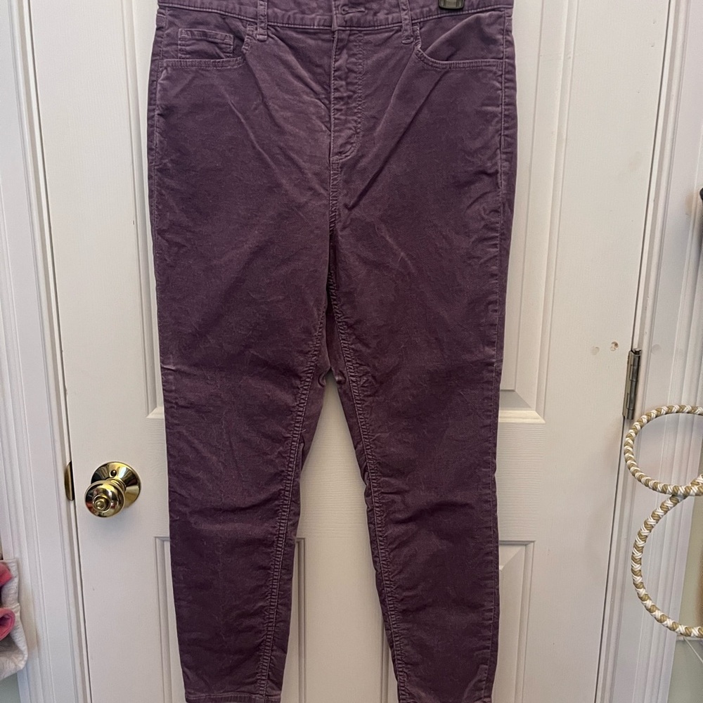Loft Jeans, size  31P (12P)